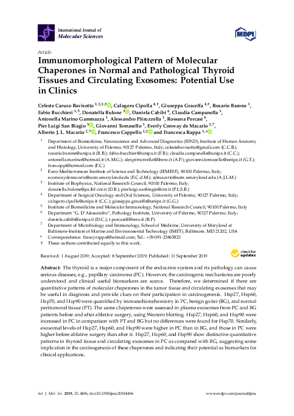 (PDF) Immunomorphological Pattern of Molecular Chaperones in Normal and ...