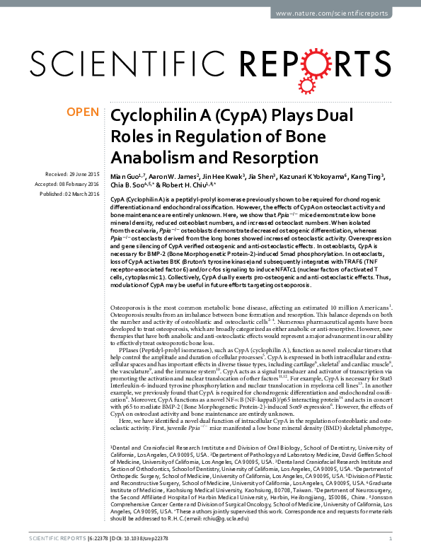 (PDF) Cyclophilin A (CypA) Plays Dual Roles in Regulation of Bone ...