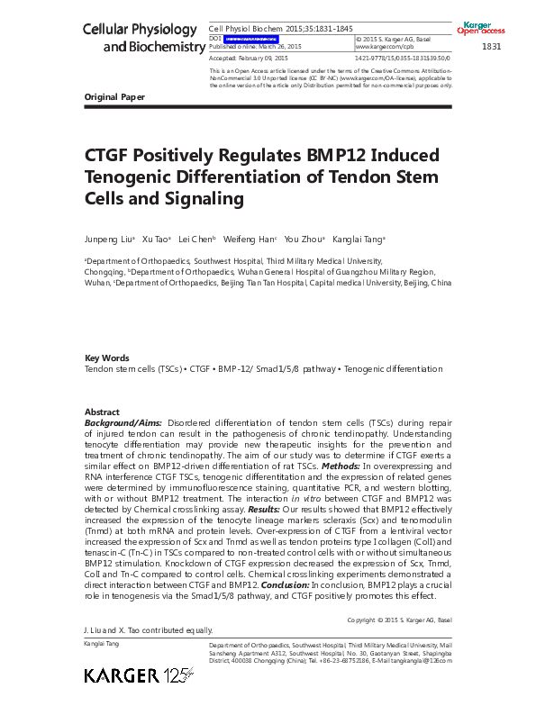 (PDF) CTGF Positively Regulates BMP12 Induced Tenogenic Differentiation ...