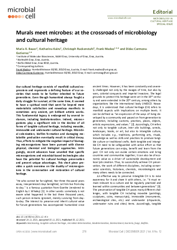 (PDF) Murals meet microbes: at the crossroads of microbiology and ...