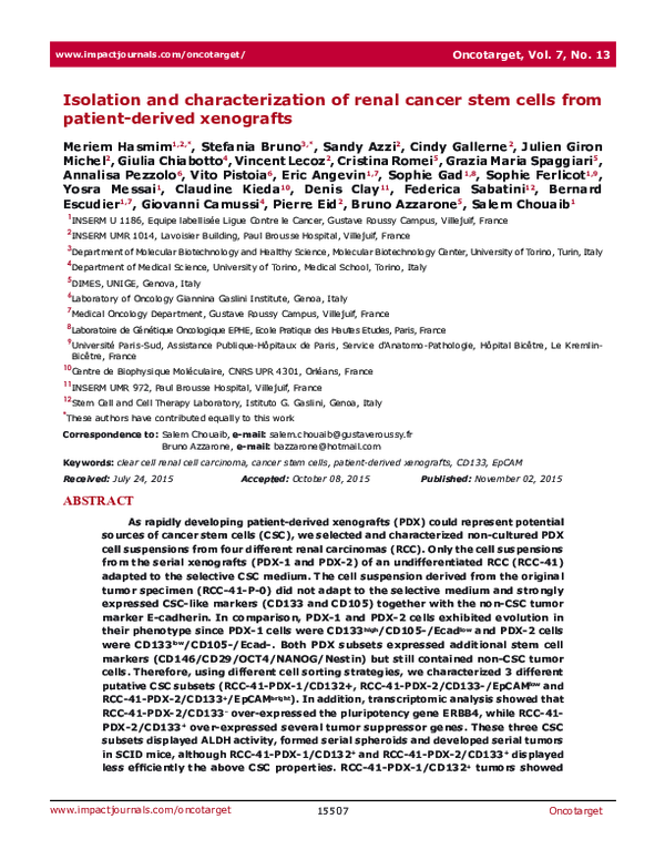 (PDF) Isolation and characterization of renal cancer stem cells from ...
