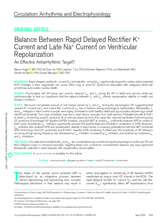 (PDF) Balance Between Rapid Delayed Rectifier K + Current and Late Na ...