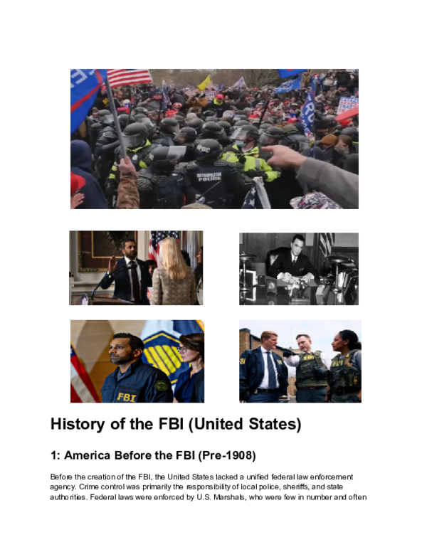 (PDF) History of the FBI (United States)