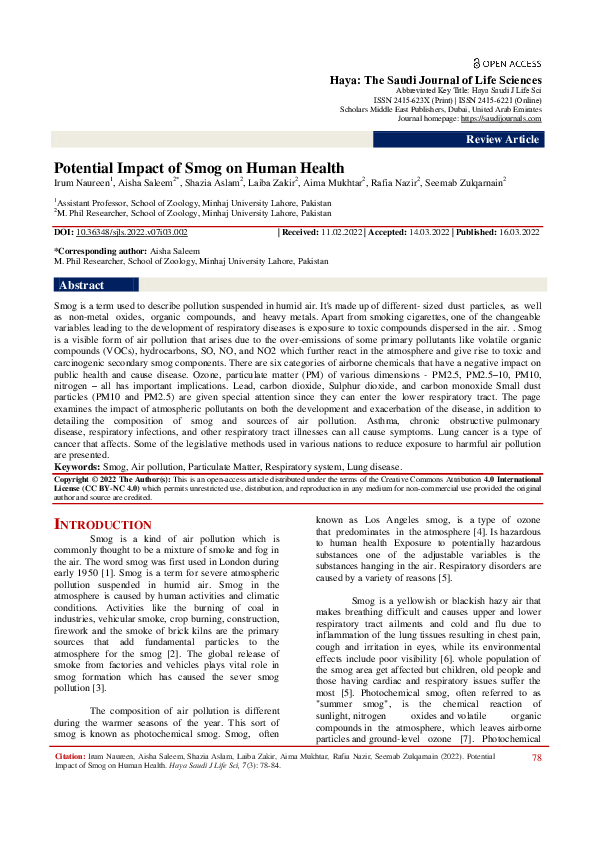 (PDF) Potential Impact of Smog on Human Health