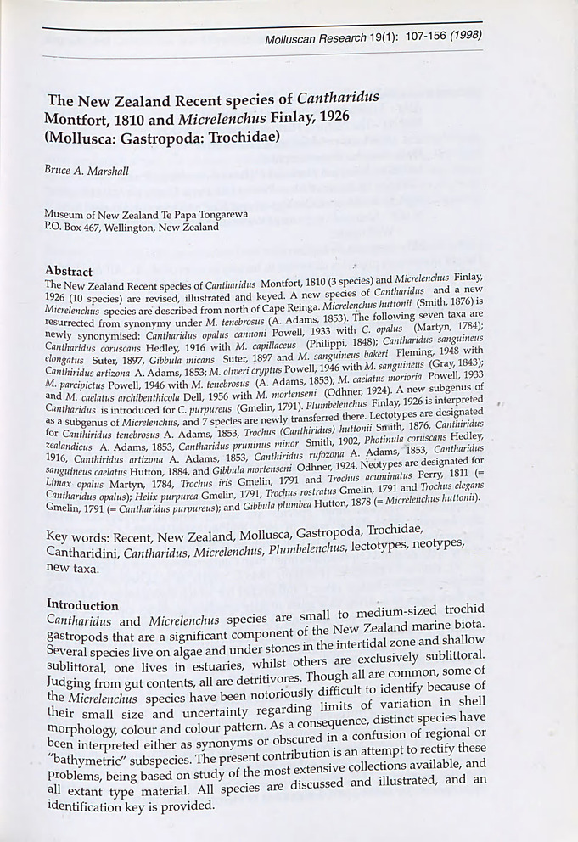 (PDF) The New Zealand Recent species of Cantharidus Montfort, 1810 and ...