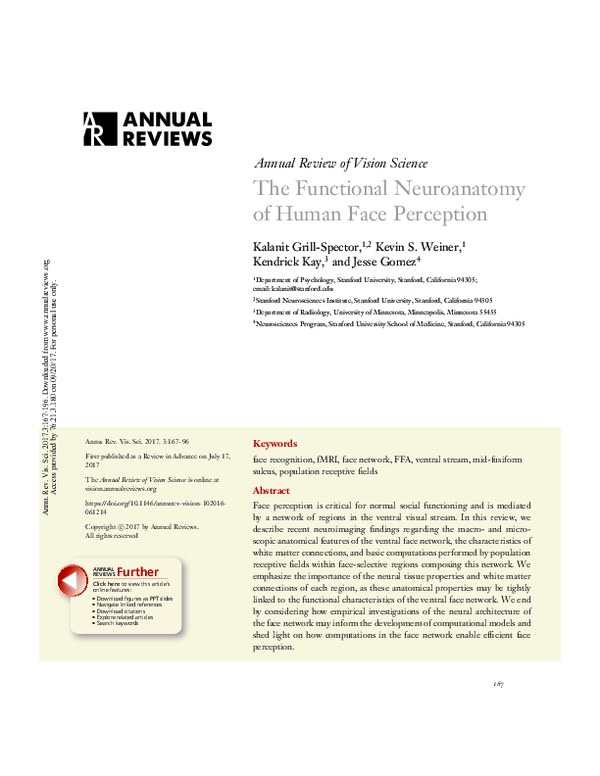 (PDF) The Functional Neuroanatomy of Human Face Perception