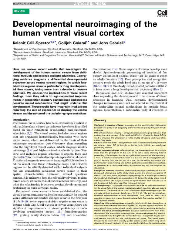 (PDF) Developmental neuroimaging of the human ventral visual cortex