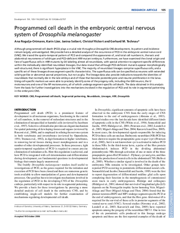 (PDF) Programmed cell death in the embryonic central nervous system ...