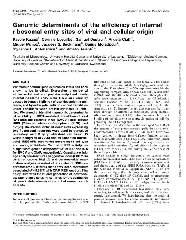 (PDF) Genomic determinants of the efficiency of internal ribosomal ...