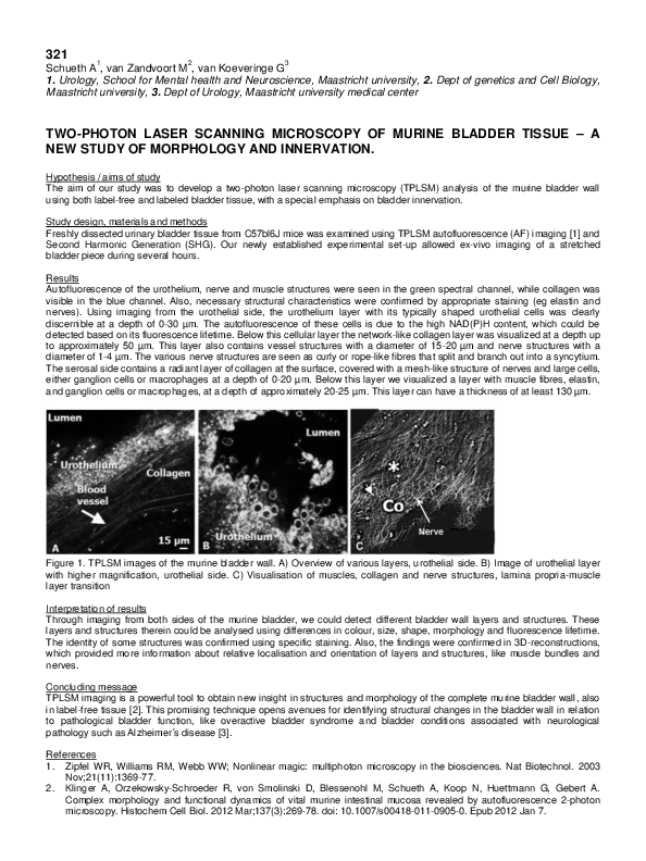 (PDF) Two-photon laser scanning microscopy of murine bladder tissue - a ...
