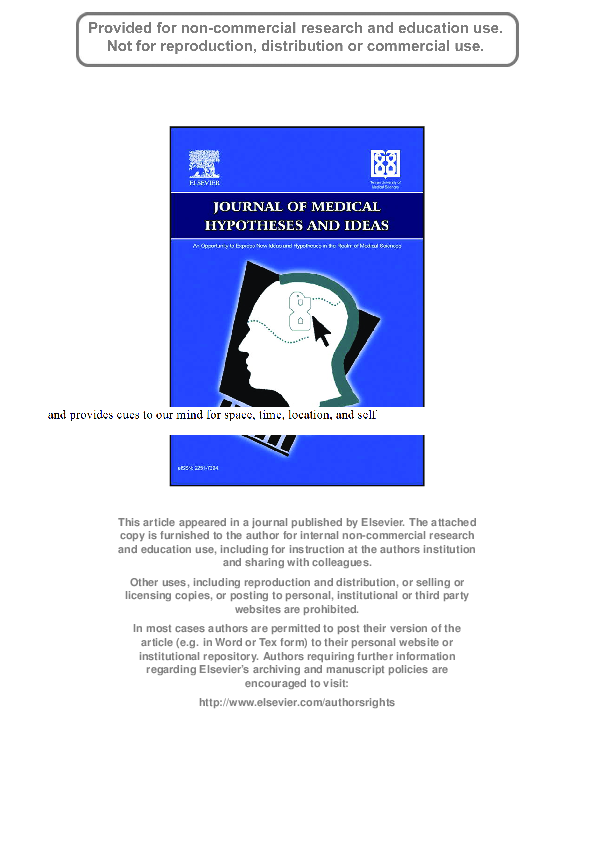 (PDF) Functional representation of vision within the mind: A visual ...