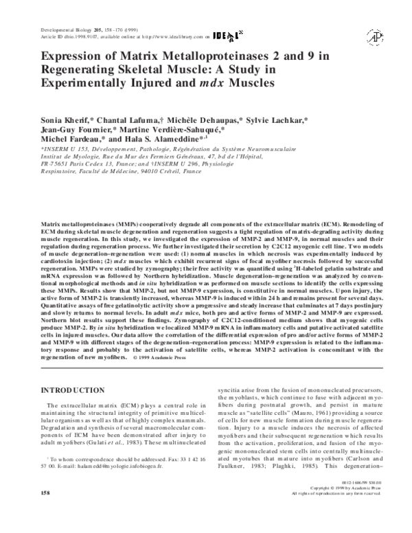 (PDF) Expression of Matrix Metalloproteinases 2 and 9 in Regenerating ...