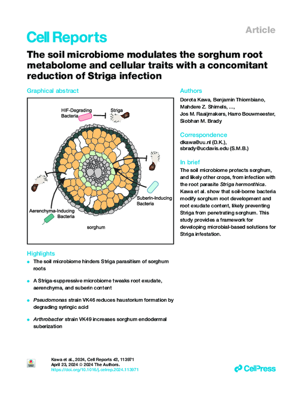 (PDF) The soil microbiome modulates the sorghum root metabolome and ...