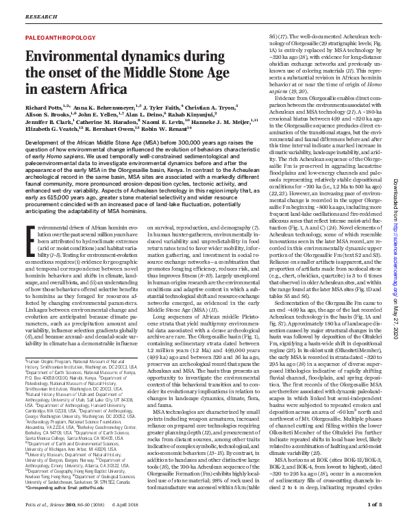 (PDF) Environmental dynamics during the onset of the Middle Stone Age ...