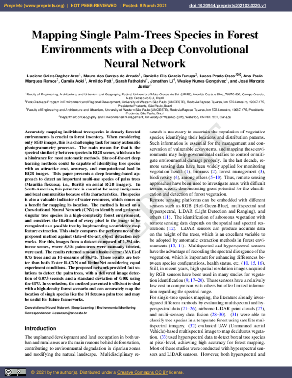 (PDF) Mapping Single Palm-Trees Species in Forest Environments with a ...