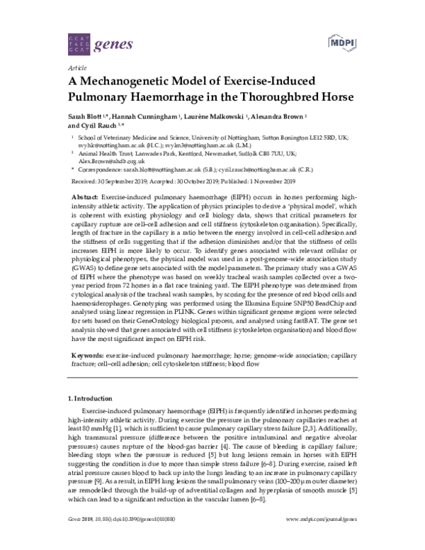 (PDF) A Mechanogenetic Model of Exercise-Induced Pulmonary Haemorrhage ...