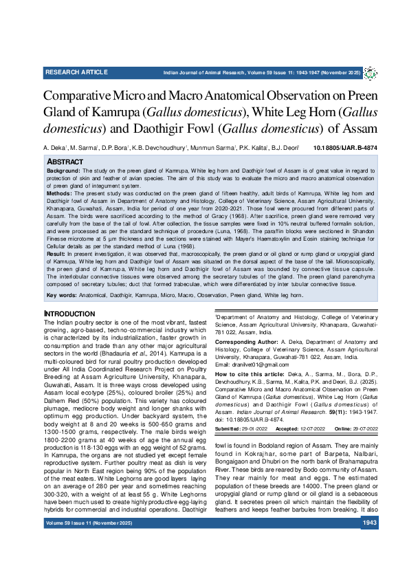 (PDF) Comparative Micro and Macro Anatomical Observation on Preen Gland ...