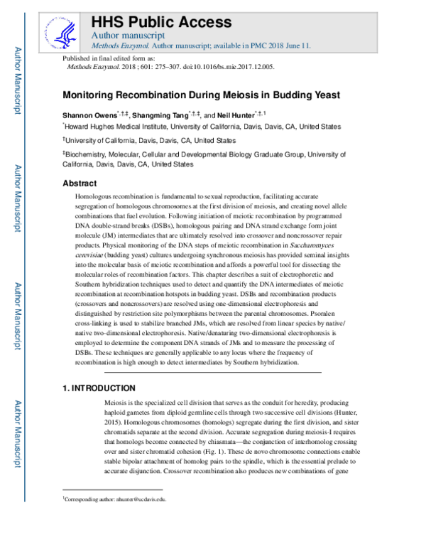 (PDF) Monitoring Recombination During Meiosis in Budding Yeast