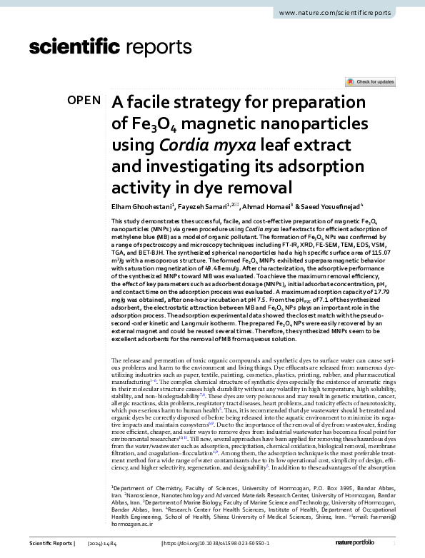 (PDF) A facile strategy for preparation of Fe3O4 magnetic nanoparticles ...