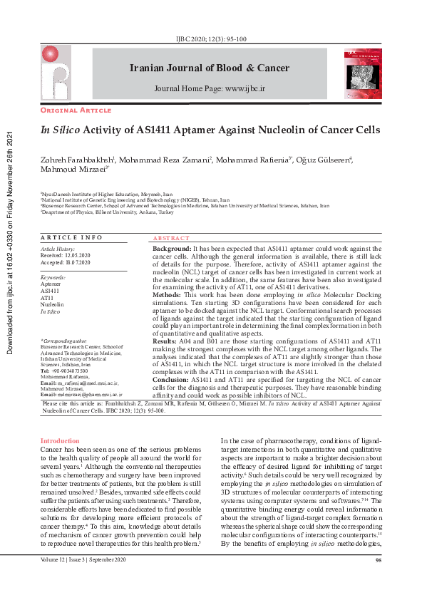 (PDF) In Silico Activity of AS1411 Aptamer Against Nucleolin of Cancer ...