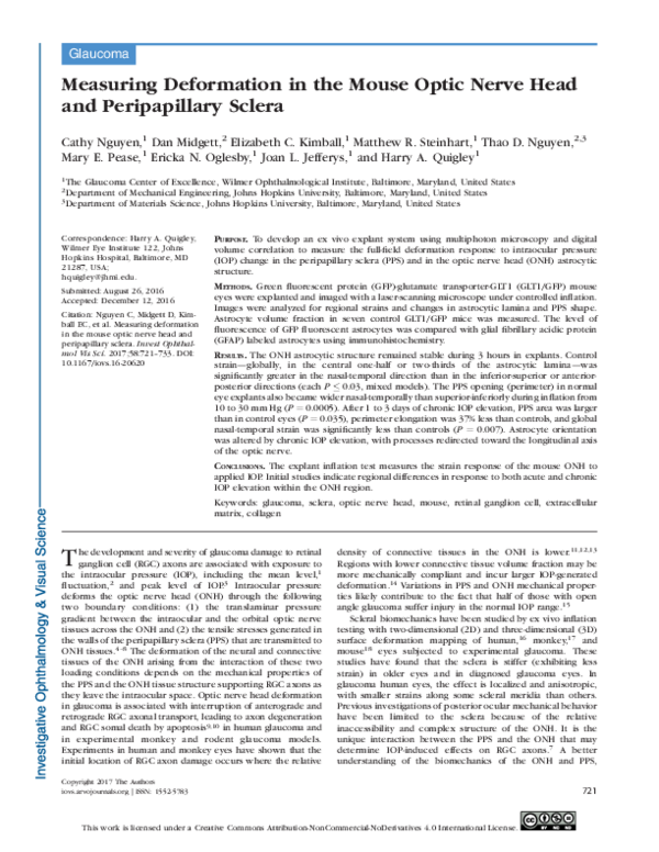 (PDF) Measuring Deformation in the Mouse Optic Nerve Head and ...
