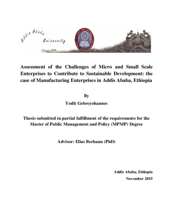 (PDF) Assessment of the Challenges of Micro and Small Scale Enterprises ...