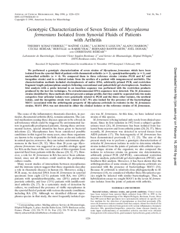 (PDF) Genotypic Characterization of Seven Strains of Mycoplasma ...