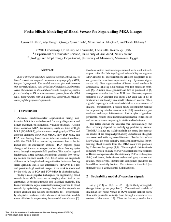 (PDF) Probabilistic Modeling of Blood Vessels for Segmenting MRA Images