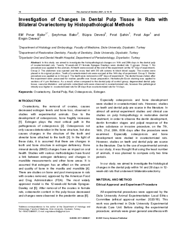 (PDF) Investigation of Changes in Dental Pulp Tissue in Rats with ...