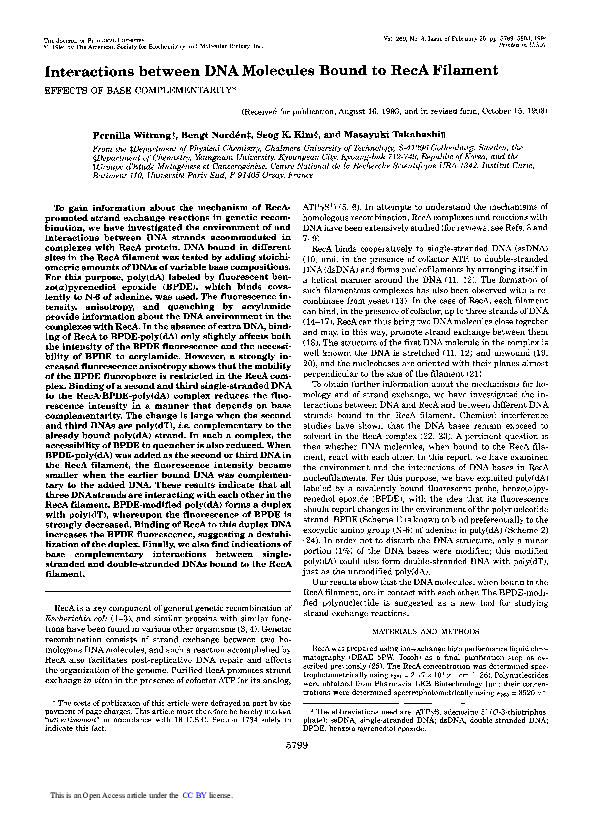 (PDF) Interactions between DNA molecules bound to RecA filament ...