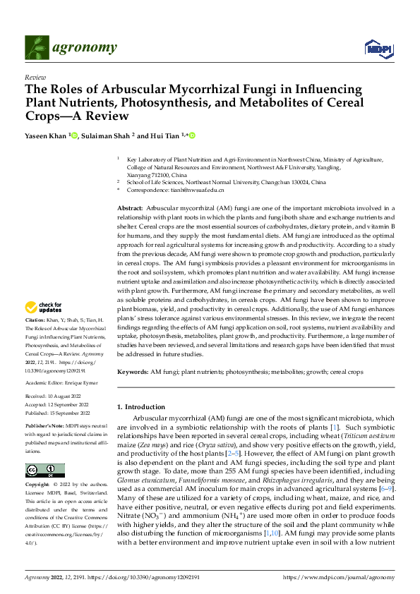 (PDF) The Roles of Arbuscular Mycorrhizal Fungi in Influencing Plant ...