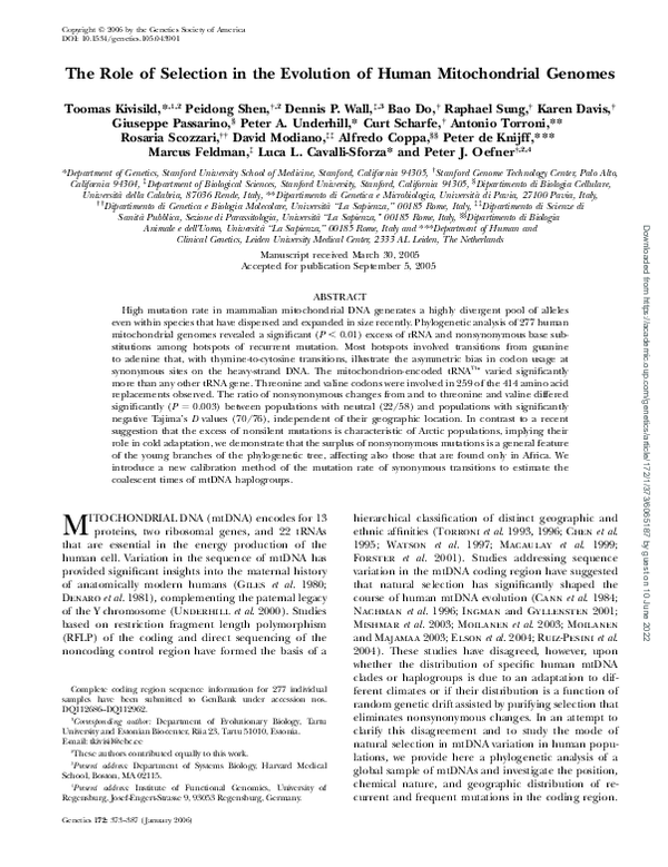 (PDF) The Role of Selection in the Evolution of Human Mitochondrial Genomes