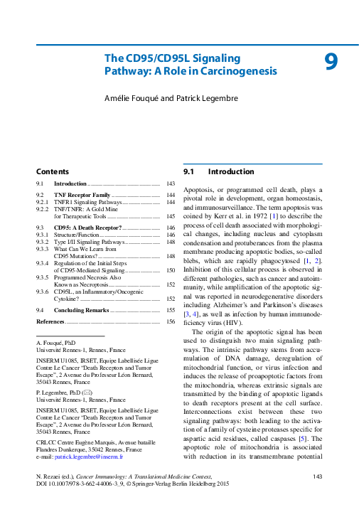 (PDF) The CD95/CD95L Signaling Pathway: A Role in Carcinogenesis