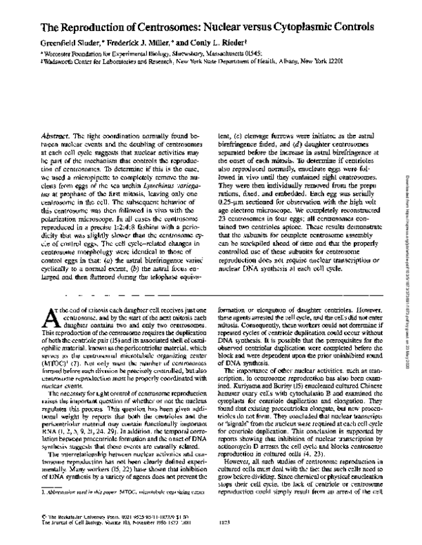 (PDF) The reproduction of centrosomes: nuclear versus cytoplasmic controls