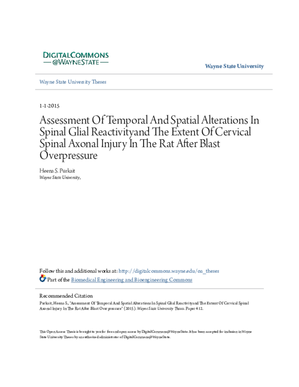 (PDF) Assessment Of Temporal And Spatial Alterations In Spinal Glial ...