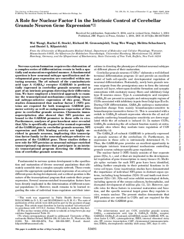 (PDF) A Role for Nuclear Factor I in the Intrinsic Control of ...