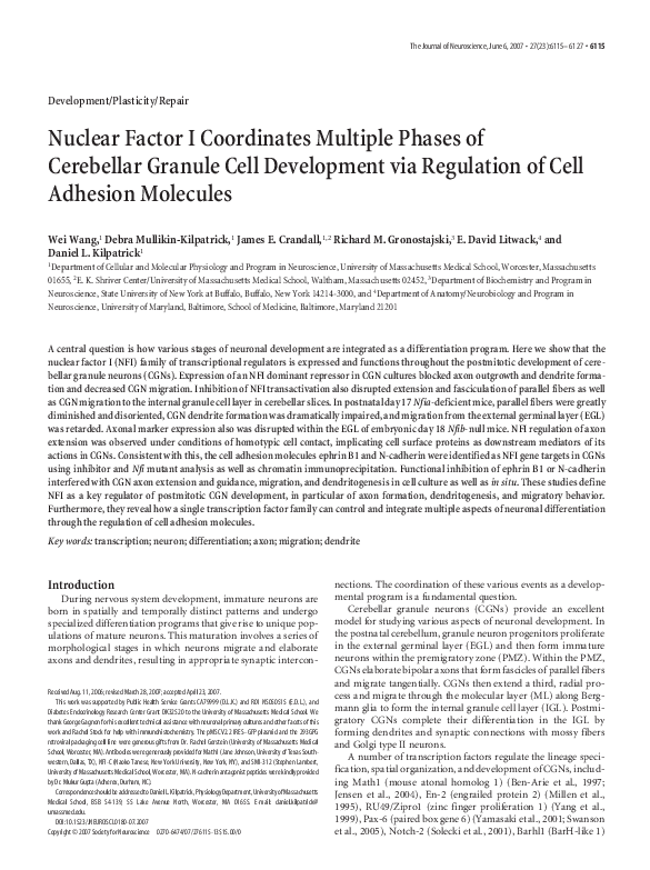 (PDF) Nuclear Factor I Coordinates Multiple Phases of Cerebellar ...