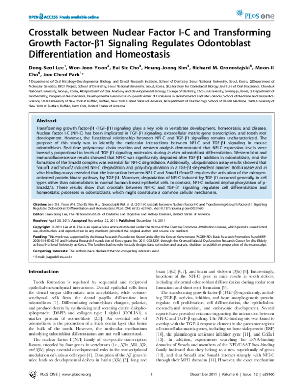 (PDF) Crosstalk between Nuclear Factor I-C and Transforming Growth ...