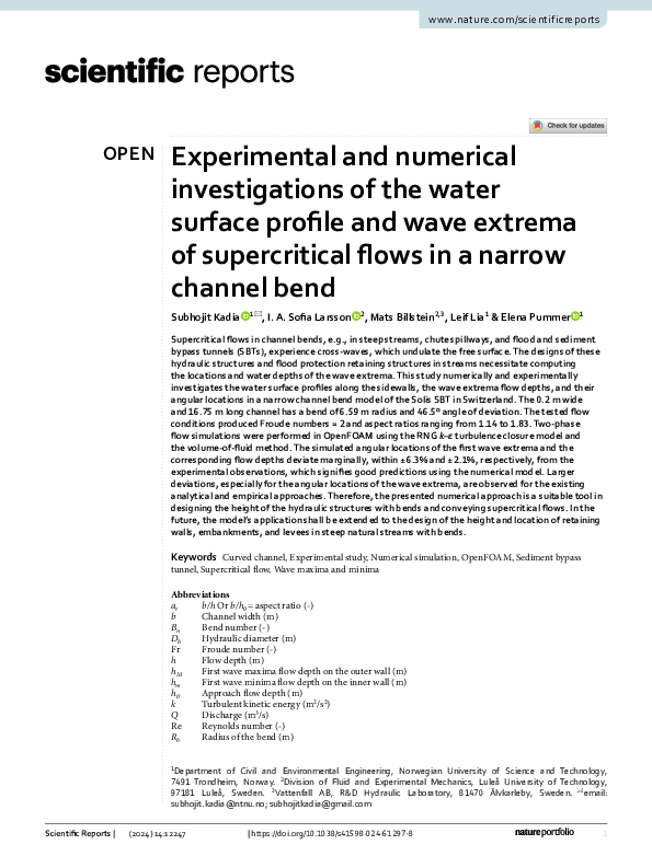 (PDF) Experimental and numerical investigations of the water surface ...