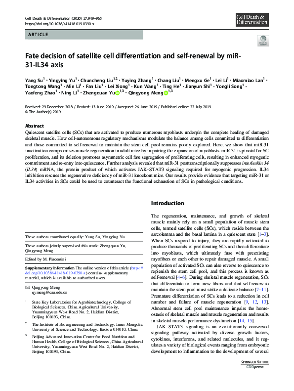 (PDF) Fate decision of satellite cell differentiation and self-renewal ...