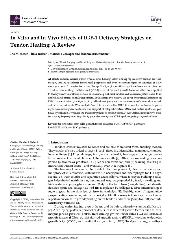 (PDF) In Vitro and In Vivo Effects of IGF-1 Delivery Strategies on ...