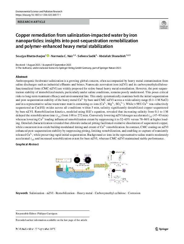 (PDF) Copper remediation from salinization-impacted water by iron ...