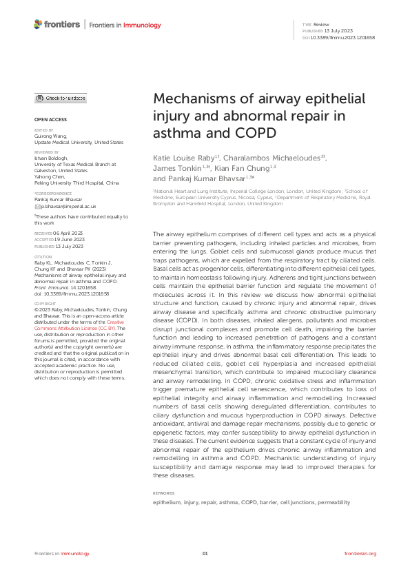 (PDF) Mechanisms of airway epithelial injury and abnormal repair in ...