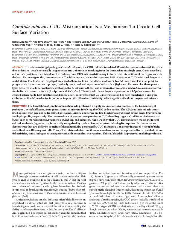 (PDF) Candida albicans CUG Mistranslation Is a Mechanism To Create Cell ...