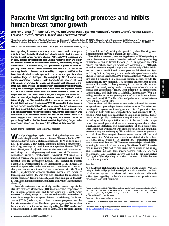 (PDF) Paracrine Wnt signaling both promotes and inhibits human breast ...