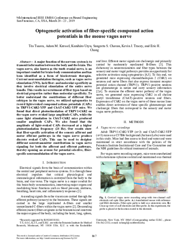 (PDF) Optogenetic activation of fiber-specific compound action ...