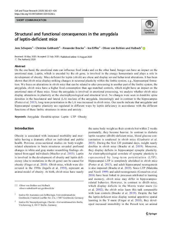 (PDF) Structural and functional consequences in the amygdala of leptin ...