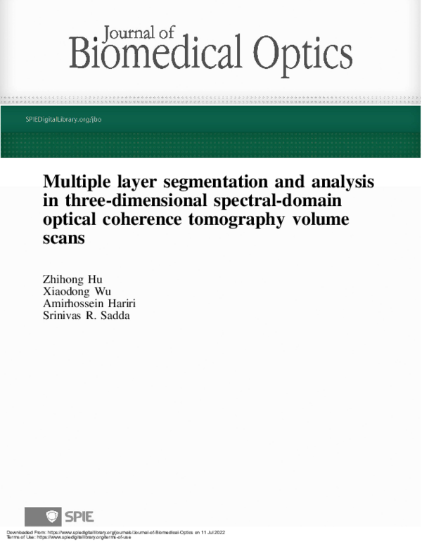 (PDF) Multiple layer segmentation and analysis in three-dimensional ...