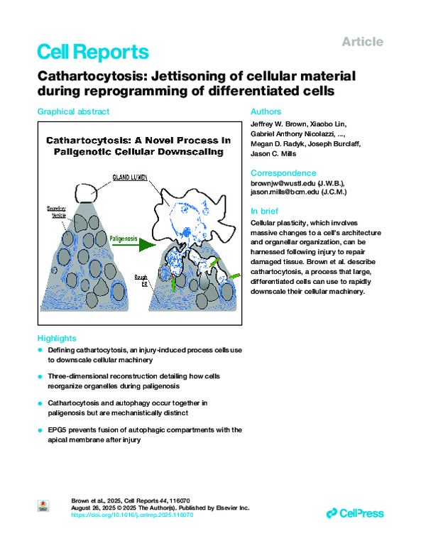 (PDF) Cathartocytosis: Jettisoning of cellular material during ...