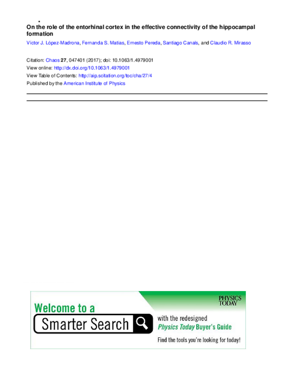 (PDF) On the role of the entorhinal cortex in the effective ...